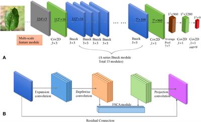 Identification of apple leaf disease via novel attention mechanism based convolutional neural network